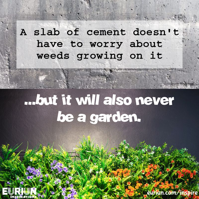 A slab of cement doesn’t have to worry about weeds growing on it, but it will also never be a garden.