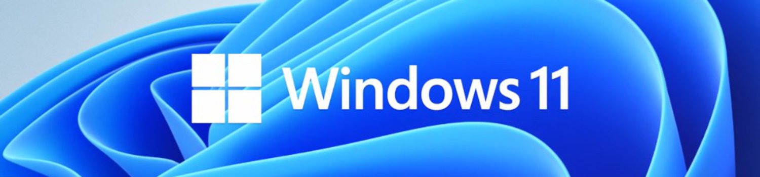 windows 11 banner